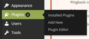 Wordpress Plugins