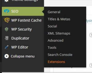 Yoast Plugin