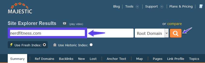 Majestic Site Explorer Results